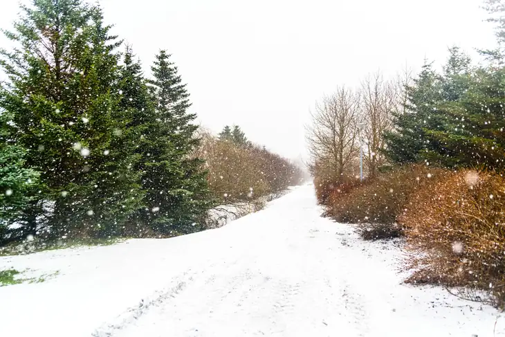 Winter Walk in Iceland